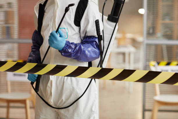 Professional Sewage Cleanup technician working in Sullivan, NH